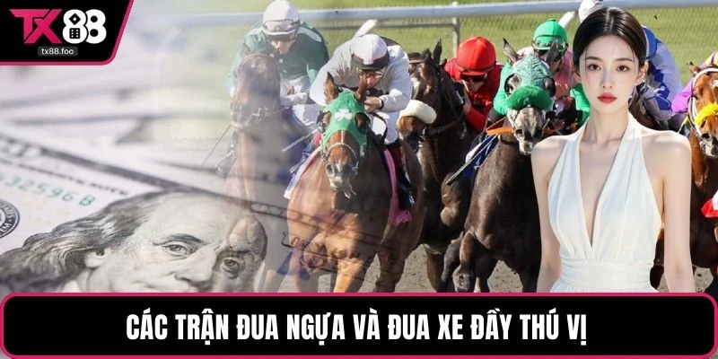 Các trận đua ngựa và đua xe đầy thú vị