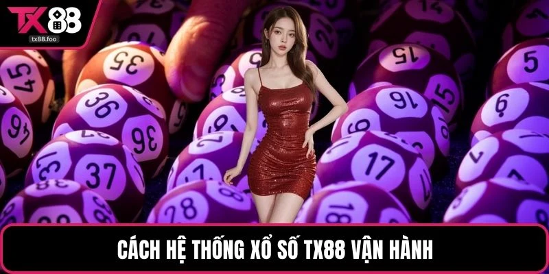 Cách hệ thống xổ số TX88 vận hành