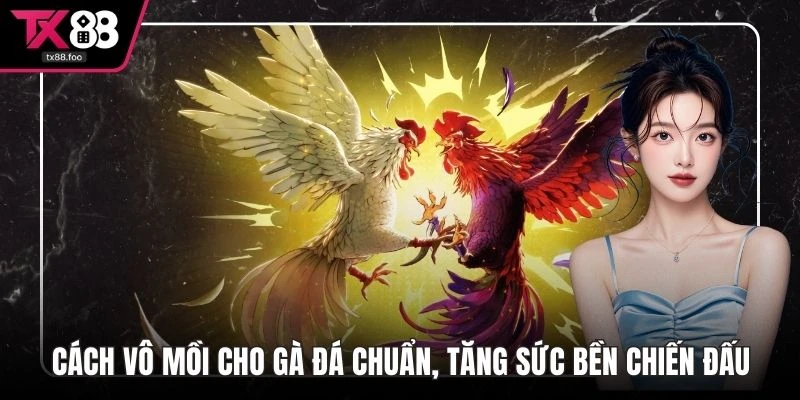 Cách vô mồi cho gà đá