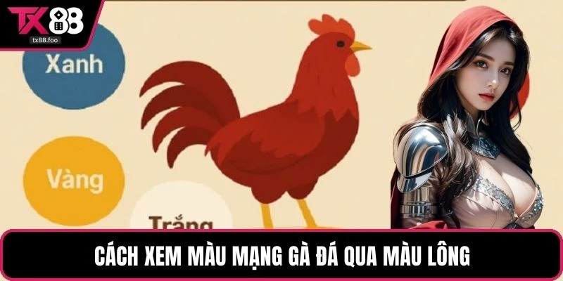 Cách xem màu mạng gà đá qua màu lông