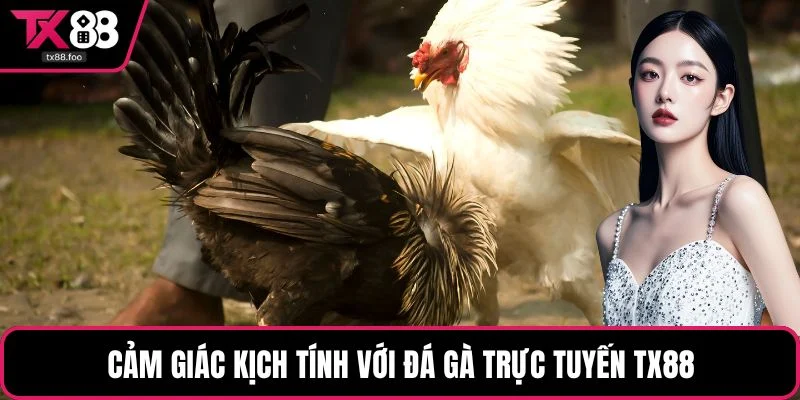 Cảm giác kịch tính với đá gà trực tuyến TX88