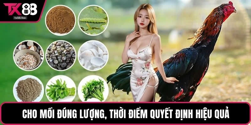 Cho mồi đúng lượng, thời điểm quyết định hiệu quả
