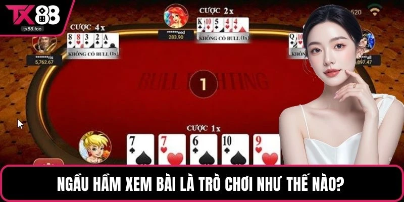 Ngầu hầm xem bài là trò chơi như thế nào?