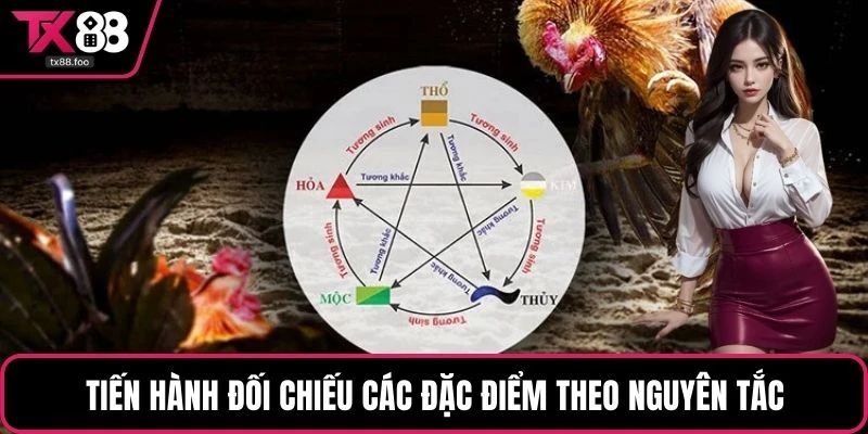 Tiến hành đối chiếu các đặc điểm theo nguyên tắc